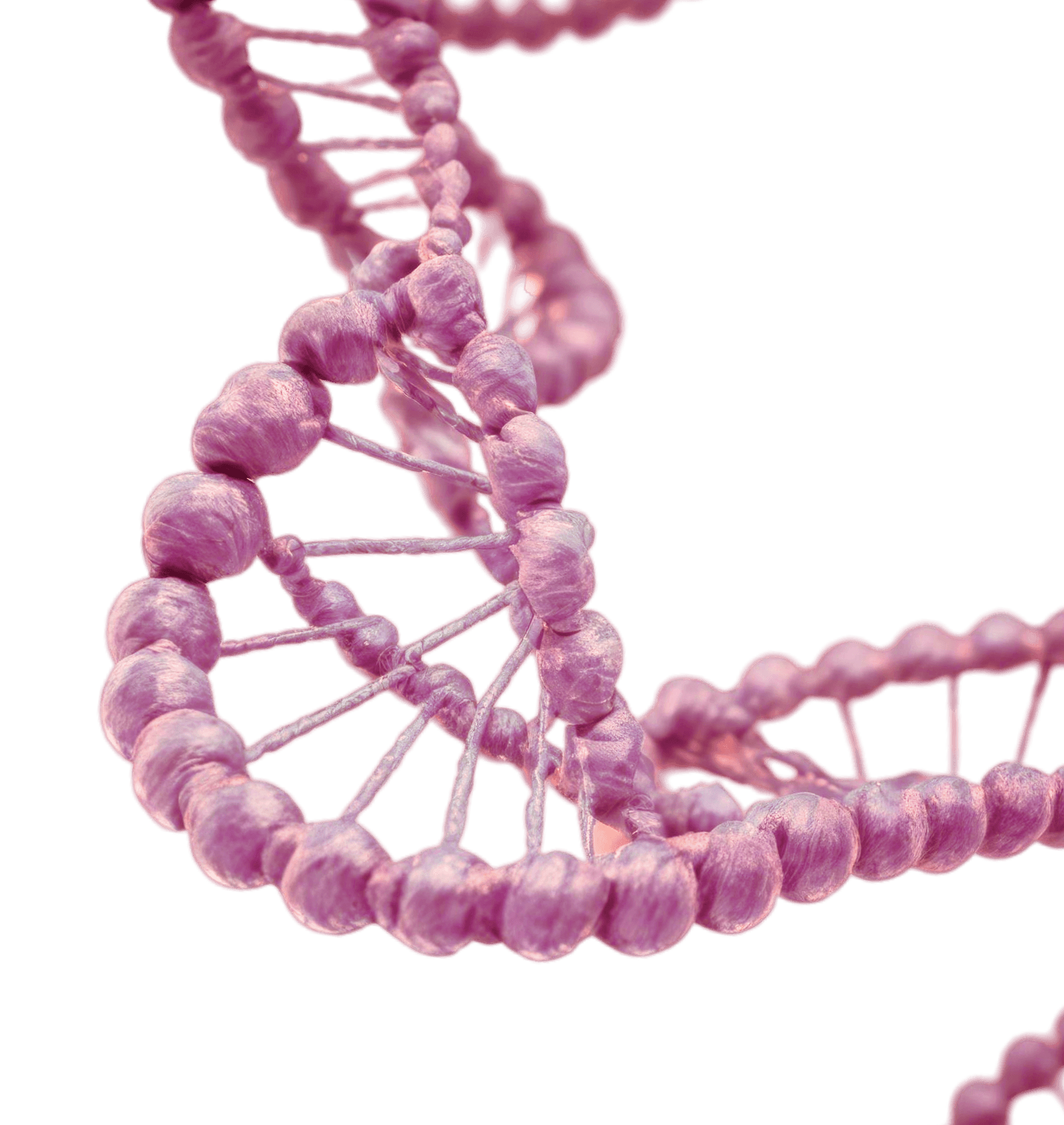 DNA Helix Illustration